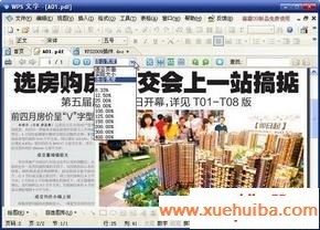 图4 WPS 2009PDF阅读器
